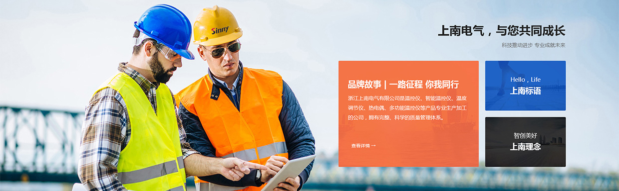 浙江上南電氣有限公司網(wǎng)站案例