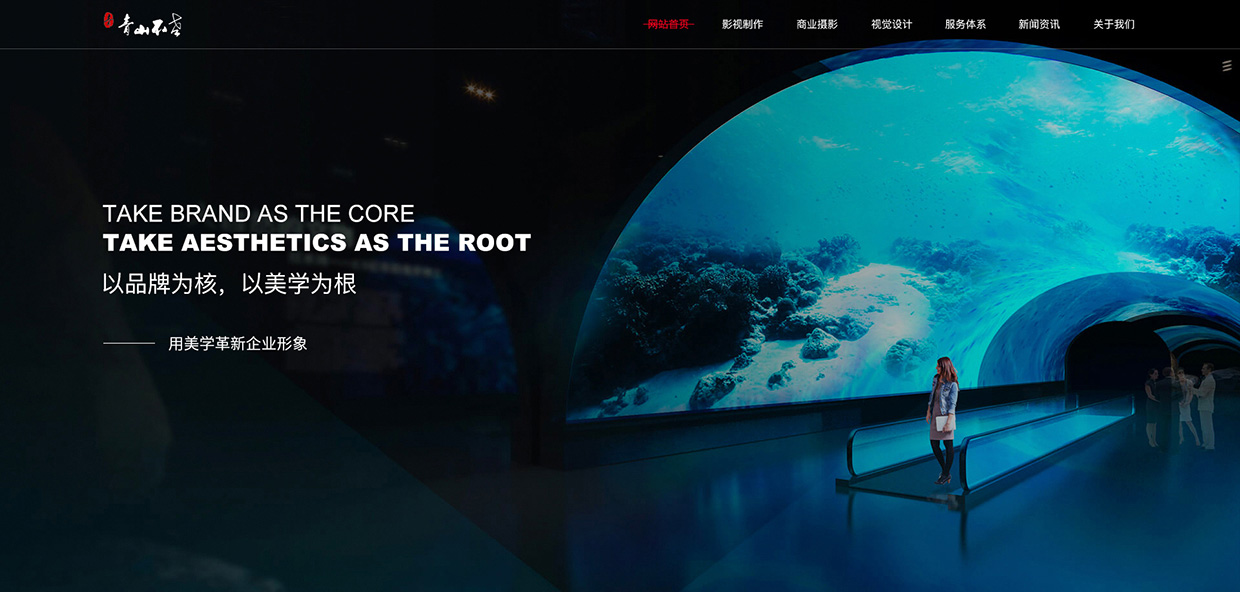 光影時代數(shù)字傳媒（無錫）有限公司網(wǎng)站案例