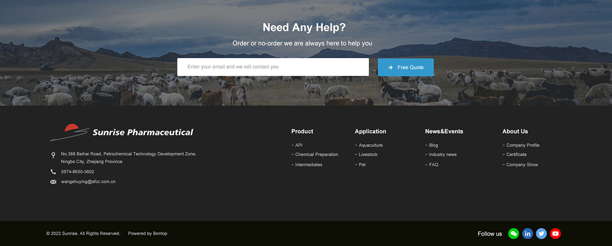 浙江日出藥業(yè)有限公司網(wǎng)站案例