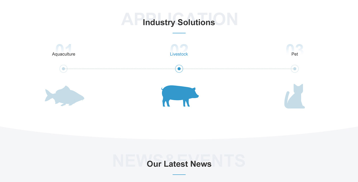 浙江日出藥業(yè)有限公司網(wǎng)站案例