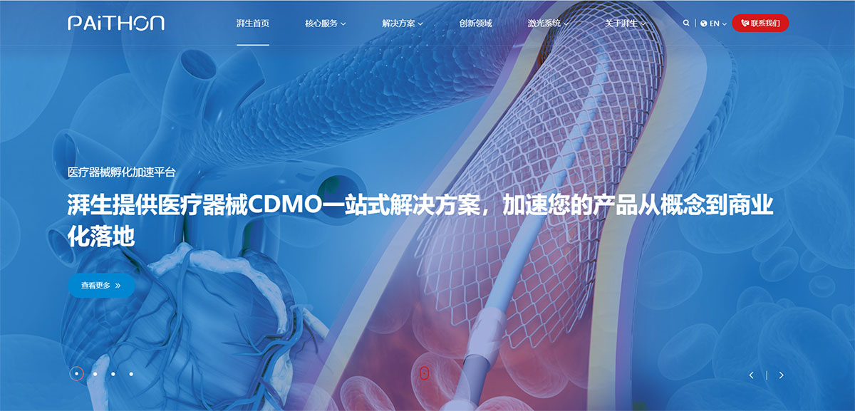 湃生科技網(wǎng)站建設(shè)效果圖